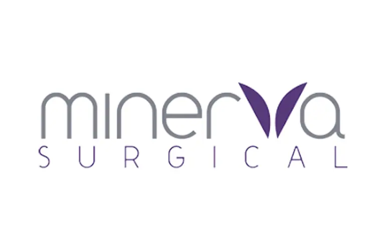 Minerva Surgical